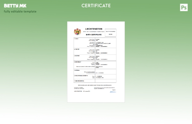 модерен стил Лихтенштајн од витално значење за извод од матична книга на роден